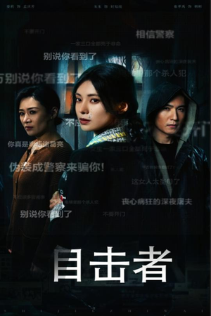 目击者&深夜伪装（30集）全集