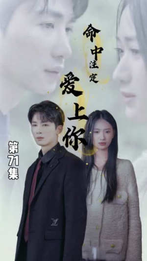 命中注定爱上你（96集）在线观看