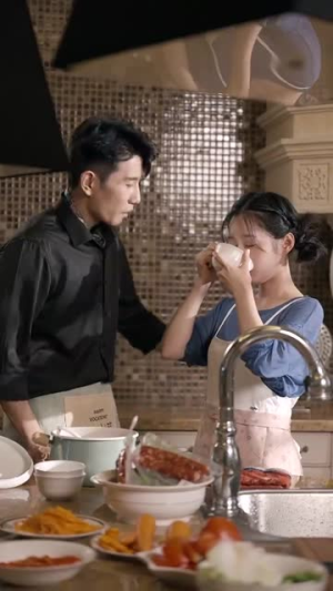 你的爱像星光闪耀（90集）全剧看到大结局