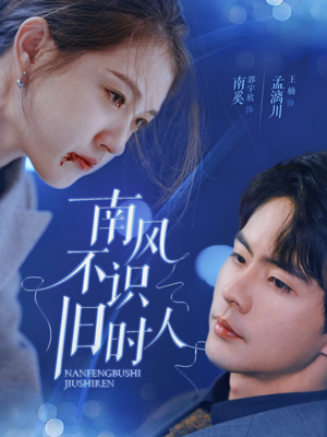 南风不识旧时人（63集）短剧在线观看