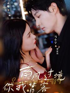 南风国境你我皆客（80集）全集都在这里了