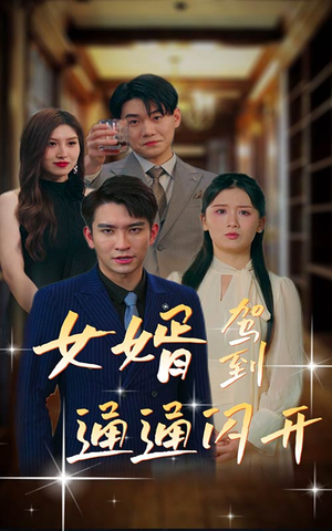 女婿驾到，通通闪开（34集）热门短剧抢先