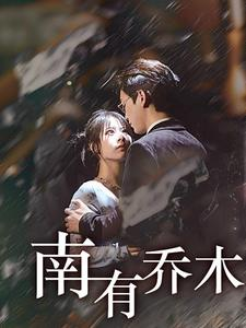 南有乔木（60集）全集免费观看