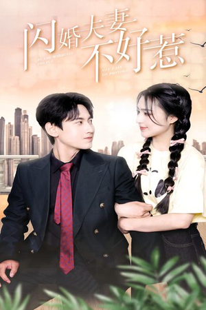 闪婚夫妻不好惹（90集）短剧全集大结局