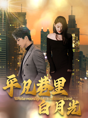 平凡巷里白月光（33集）在线免费观影