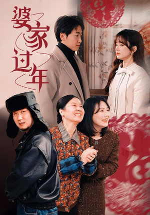 婆家过年（71集）经典回顾免费看