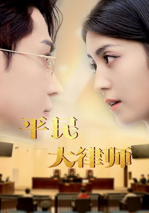 平民大律师（95集）百度在线观看