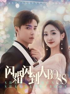 闪婚闪到大BOOS（76集）演员表