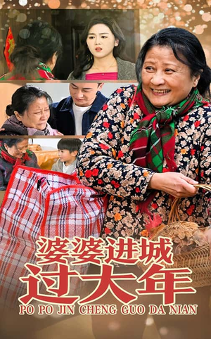 婆婆进城过大年（33集）免费短剧就是爽