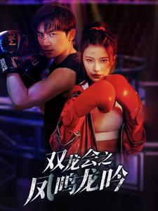 双龙会之凤鸣龙吟（80集）短剧精彩推荐