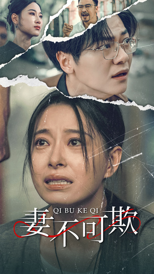 妻不可欺（51集）完整版免费观看