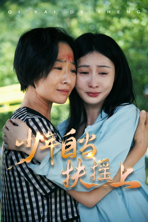 少年自当扶摇上（30集）短剧有好货推荐