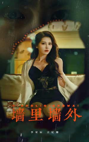 墙里墙外（55集）短剧介绍