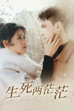 生死两茫茫（35集）短剧有好货推荐