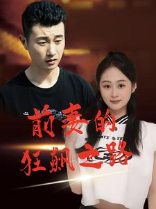 前妻的狂飙之路（92集）口碑之选免费看