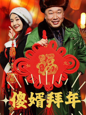 傻婿拜年（32集）一共多少集