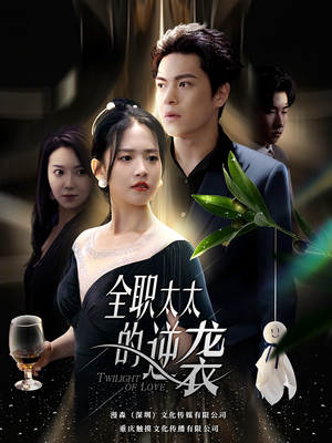 全职太太的逆袭（80集）哪个短剧网能看