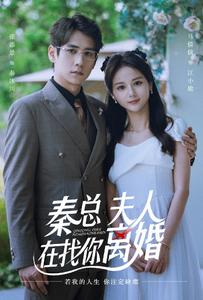 秦总，夫人在找你离婚（79集）在线观看全集