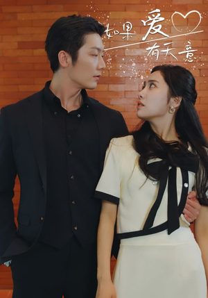 如果爱有天意（80集）热门短剧在线看