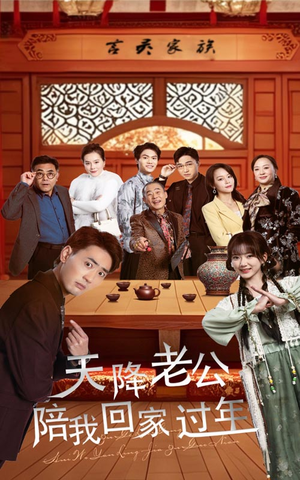 天降老公陪我回家过年（60集）好看的短剧电影