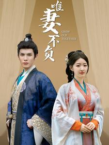 唯妻不负（80集）红果免费短剧