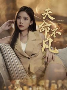 天命不凡（28集）古装热门短剧