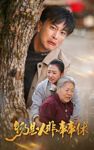 物是人非事事休（41集）最新上映的短剧