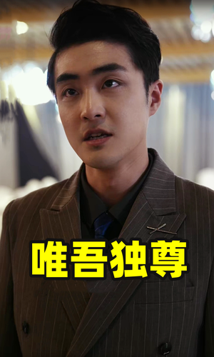 唯吾独尊（96集）女频短剧推荐