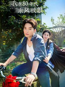我在80年代乘风破浪（82集）剧情简介
