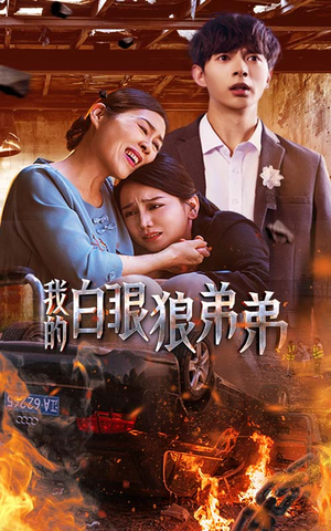 我的白眼狼弟弟（69集）简直不要太好看