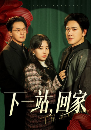 下一站，回家（42集）红果免费看短剧