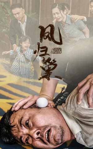 新版：凤归巢（68集）最热短剧推荐