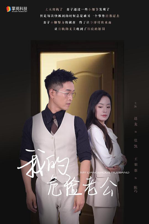 我的危险老公（63集）精彩短剧合集
