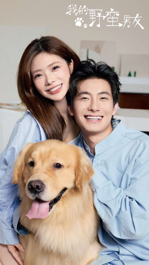 我的野蛮男友（70集）短剧介绍