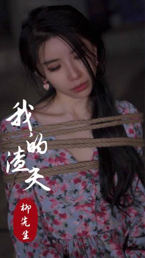 我的渣夫柳先生（80集）精彩短剧追不停