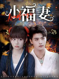 小福妻（62集）短剧全集完整版