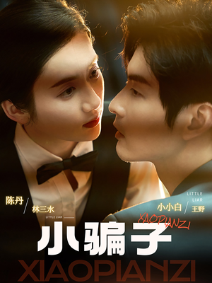 小骗子（35集）热播短剧推荐