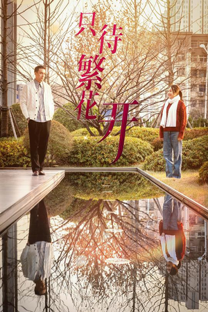 只待繁花开（35集）短剧免费观看