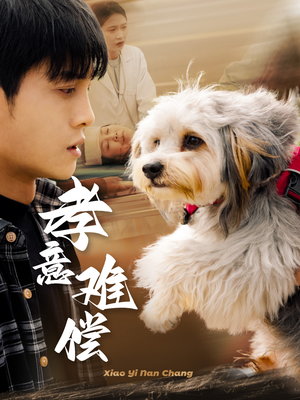 孝意难偿（32集）全剧免费观看