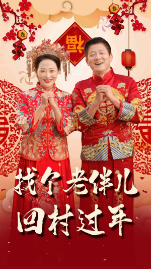 找个老伴儿回村过年（58集）短剧爆款推荐