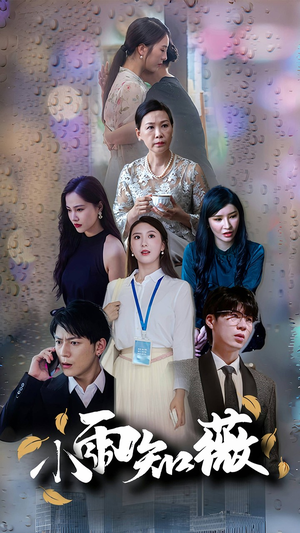 小雨知薇（80集）第一集