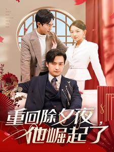重回除夕夜他崛起了（89集）超级好看的短剧