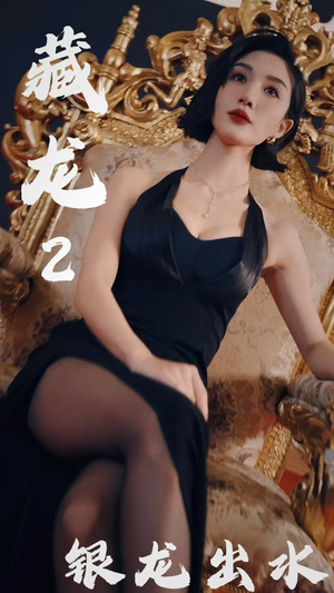 藏龙2银龙出水（35集）独家短剧免费看