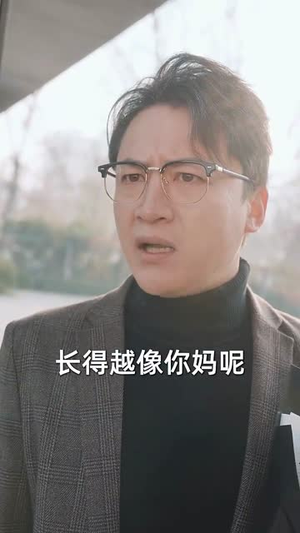 中年自救指南（33集）短剧介绍