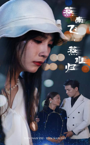 燕南飞，燕难归（31集）看精彩短剧