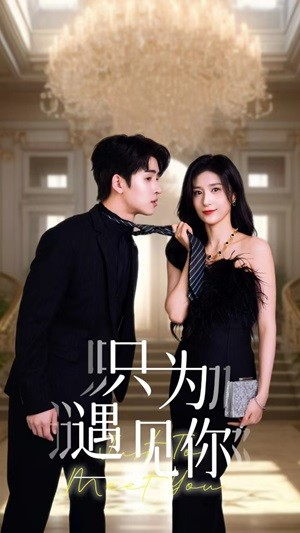 只为遇见你（88集）哪个网站可以看