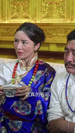 藏医传说（84集）UC网盘在线看