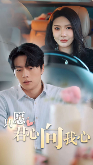 只愿君心向我心（31集）热门短剧在线看