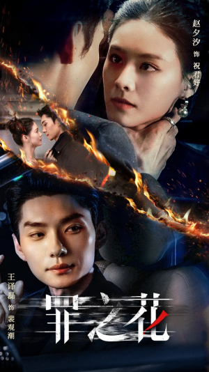 罪之花（56集）好看短剧分享