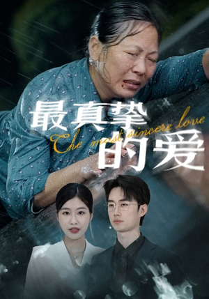 最真挚的爱（76集）高清无码免费看